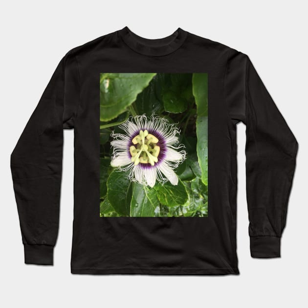 Passion Fruition Long Sleeve T-Shirt by anuvisculture